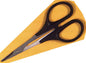 5' Curved Lexan Scissor
