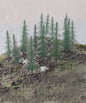 Rock Island - Snow Covered Fir 3.5'