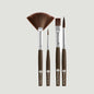 Borciani e Bonazzi 26903 KIT 4 brushes TOP GRAPHIC Serie